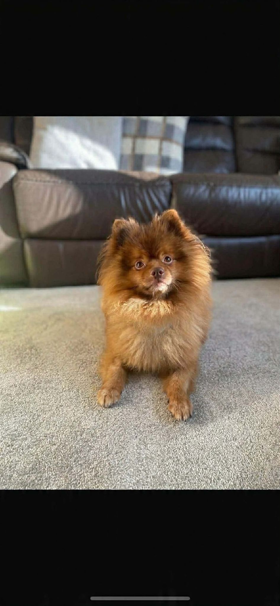 Charity Gallery Photo