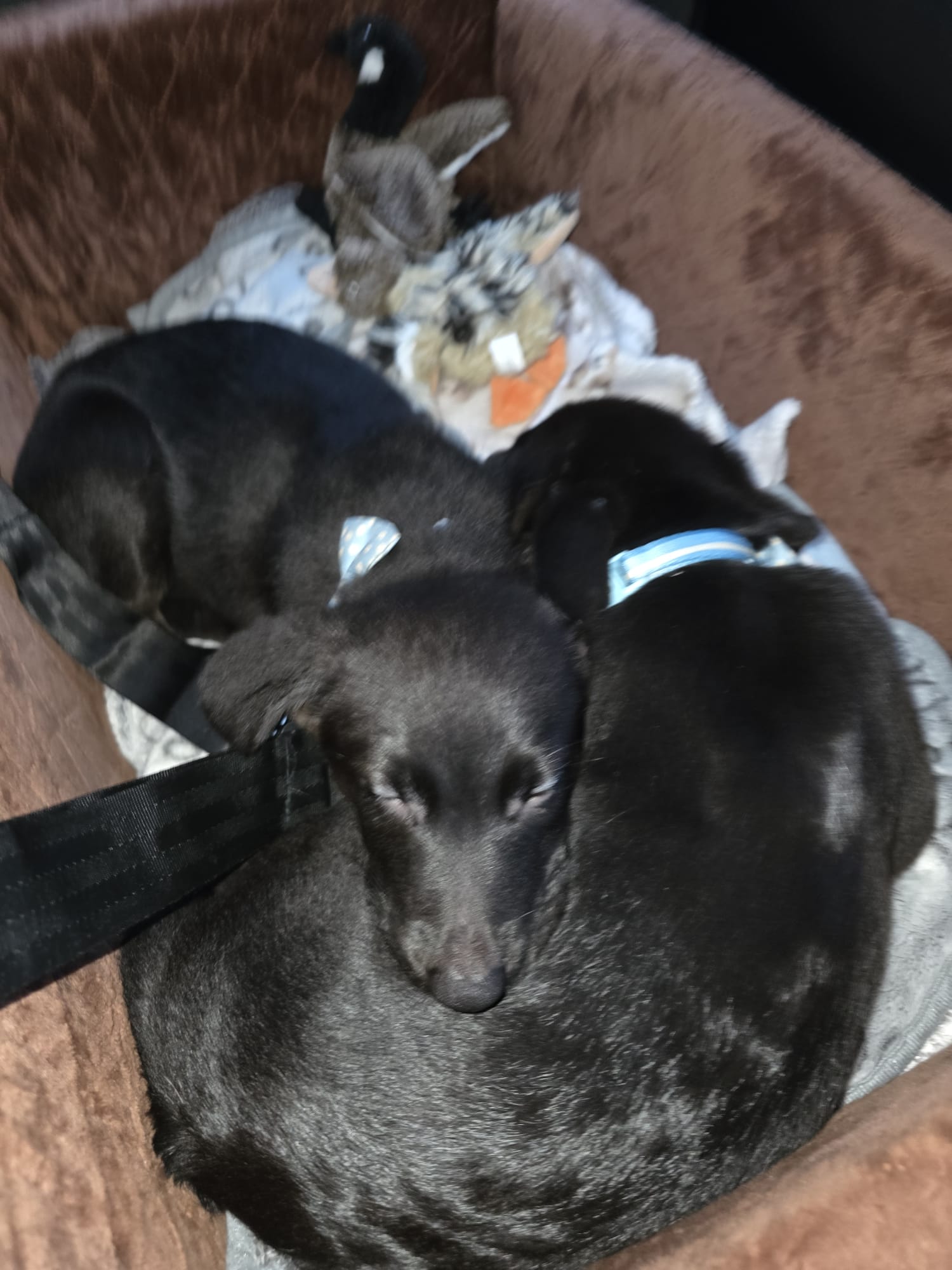 Charity Gallery Photo