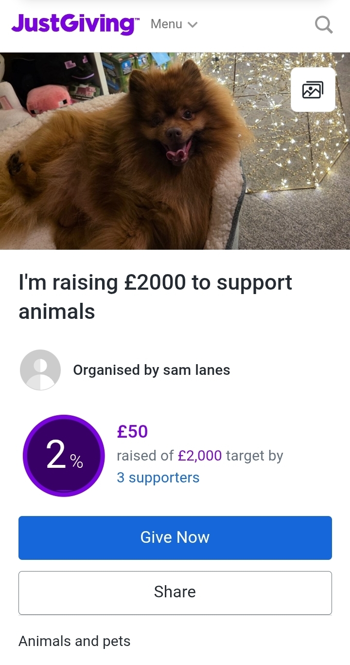 Charity Gallery Photo